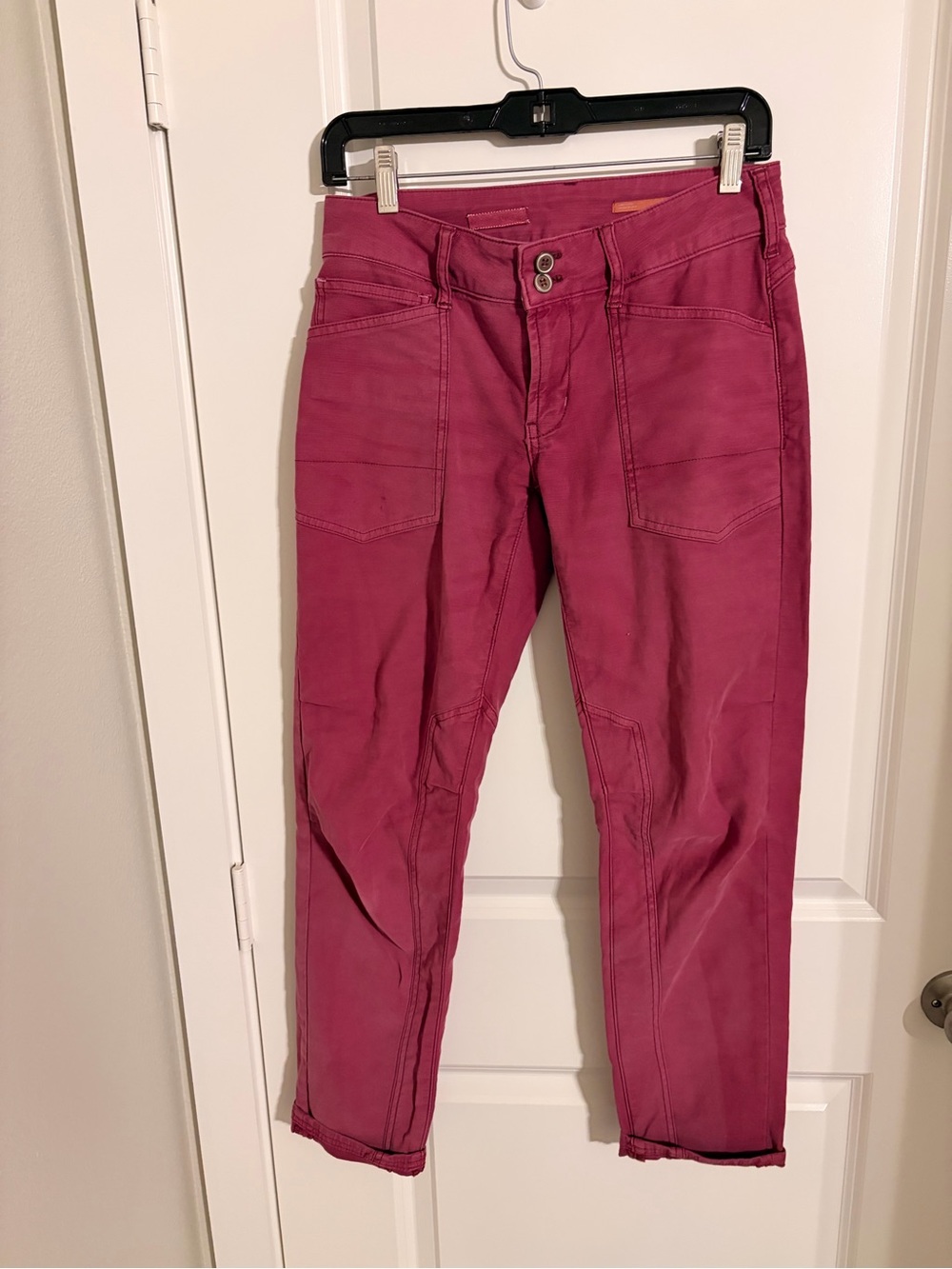 Anthropologie Wanderer pant pink 25